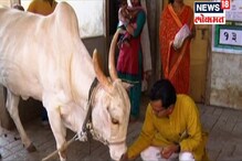 VIDEO: पार्थ पवार आणि बारणेंच्या लढतीत 'या' अपक्ष उमेदवाराने वेधून घेतलं सर्वांचंच लक्ष VIDEO: पार्थ पवार आणि बारणेंच्या लढतीत 'या' अपक्ष उमेदवाराने वेधून घेतलं सर्वांचंच लक्ष