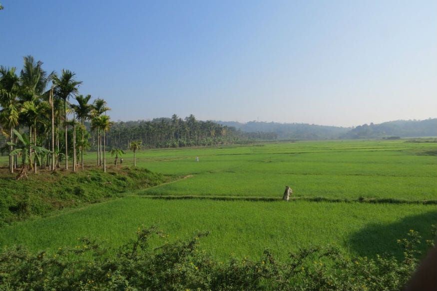 पर्यटक आणि निसर्ग प्रेमींमध्ये नेहमी वायनाडमधील जंगल, वन्य प्राणी आणि झाडांबद्दलची चर्चा होते. येथील चेम्बरा पीक पर्वत ट्रेकिंगसाठी प्रसिद्ध आहेत. तर एडक्कल गुफा पर्यटकांच्या आकर्षणाचे केंद्रबिंदू आहेत. पर्यटक आणि निसर्ग प्रेमींमध्ये नेहमी वायनाडमधील जंगल, वन्य प्राणी आणि झाडांबद्दलची चर्चा होते. येथील चेम्बरा पीक पर्वत ट्रेकिंगसाठी प्रसिद्ध आहेत. तर एडक्कल गुफा पर्यटकांच्या आकर्षणाचे केंद्रबिंदू आहेत.