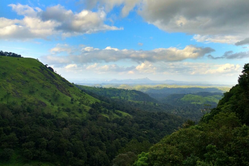 याशिवाय मसाले, विविध प्रकारचे तेल, चॉकलेट, हस्तशिल्प आणि नारळाचे फायबर यांच्या खरेदीसाठी वायनाड प्रसिद्ध आहे. याशिवाय मसाले, विविध प्रकारचे तेल, चॉकलेट, हस्तशिल्प आणि नारळाचे फायबर यांच्या खरेदीसाठी वायनाड प्रसिद्ध आहे.