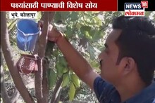 VIDEO : पक्ष्यांसाठी पाण्याची सोय, तरुणांच्या उपक्रमाचं सर्वत्र कौतुक