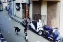 2 वर्षांच्या चिमुरडीवर पिसाळलेल्या कुत्र्याचा हल्ला, VIDEO व्हायरल