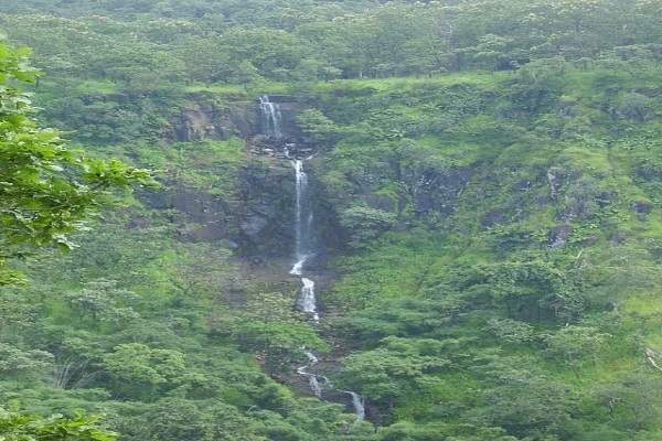 अमरावती- जैवविविधतेसाठी महाराष्ट्रात चौथ्या स्थानावर असलेलं अभयारण्य म्हणून मेळघाटाचा उल्लेख केला जातो. मेळघाट व्याघ्र प्रकल्पही आहे. सातपुडा पर्वतरांगामधील जंगल, प्राणी, पक्षी आणि वाघ पाहण्यासाठी या अभयारण्याची सफर नक्की करायला हवी. अमरावती- जैवविविधतेसाठी महाराष्ट्रात चौथ्या स्थानावर असलेलं अभयारण्य म्हणून मेळघाटाचा उल्लेख केला जातो. मेळघाट व्याघ्र प्रकल्पही आहे. सातपुडा पर्वतरांगामधील जंगल, प्राणी, पक्षी आणि वाघ पाहण्यासाठी या अभयारण्याची सफर नक्की करायला हवी.