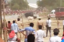अखिलेश यादव यांच्या सभेत उधळला वळू, VIDEO व्हायरल अखिलेश यादव यांच्या सभेत उधळला वळू, VIDEO व्हायरल