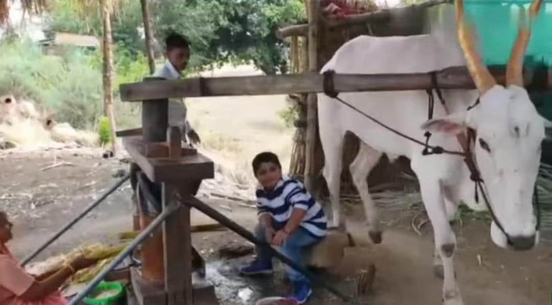 पाठकबाईंच्या लाडक्या लाडूच्या अभिनयाचं कौतुक नेहमीच होतं. पण आता त्याचं हे कसब पाहून सगळेच अवाक झालेत. पाठकबाईंच्या लाडक्या लाडूच्या अभिनयाचं कौतुक नेहमीच होतं. पण आता त्याचं हे कसब पाहून सगळेच अवाक झालेत.