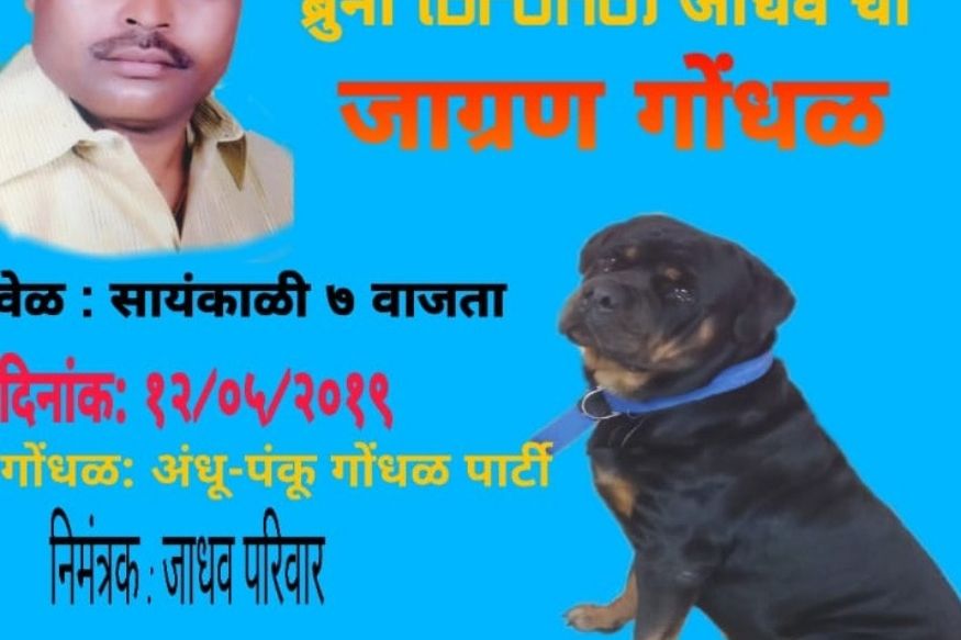 पुण्यातील धनकवडी इथं चक्कं एका कुत्र्यासाठी कुटुंबाने जागरण गोंधळाचा कार्यक्रम केल्याची घटना घडली आहे. पुण्यातील धनकवडी इथं चक्कं एका कुत्र्यासाठी कुटुंबाने जागरण गोंधळाचा कार्यक्रम केल्याची घटना घडली आहे.