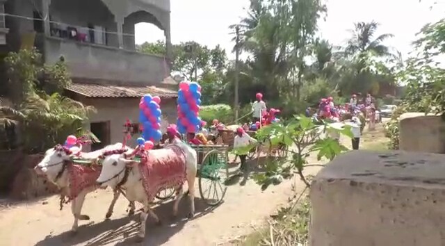 मुलीला घोड्यावर बसवून अगदी दिमाखात लग्नाचं वऱ्हाड नेलं. विशेष म्हणजे नेहमी शेतातल्या कामासाठी वापरल्या जाणाऱ्या बैलांना बैलपोळा सोडला तर कधी कोणी सजवलेलं आपल्याला पाहायला मिळत नाही. मुलीला घोड्यावर बसवून अगदी दिमाखात लग्नाचं वऱ्हाड नेलं. विशेष म्हणजे नेहमी शेतातल्या कामासाठी वापरल्या जाणाऱ्या बैलांना बैलपोळा सोडला तर कधी कोणी सजवलेलं आपल्याला पाहायला मिळत नाही.