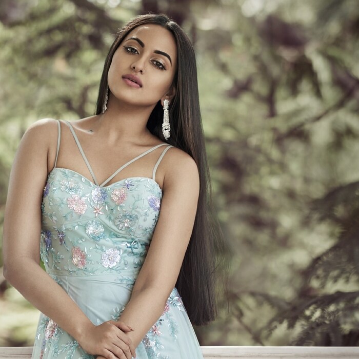 लुटेरा सिनेमात सोनाक्षी सुंदर पेन्टिंग काढताना दाखवण्यात आली आहे. खऱ्या आयुष्यातही ती सुंद पेन्टिंग काढते. फावल्या वेळात तिला चित्र काढणं पसंत आहे.
