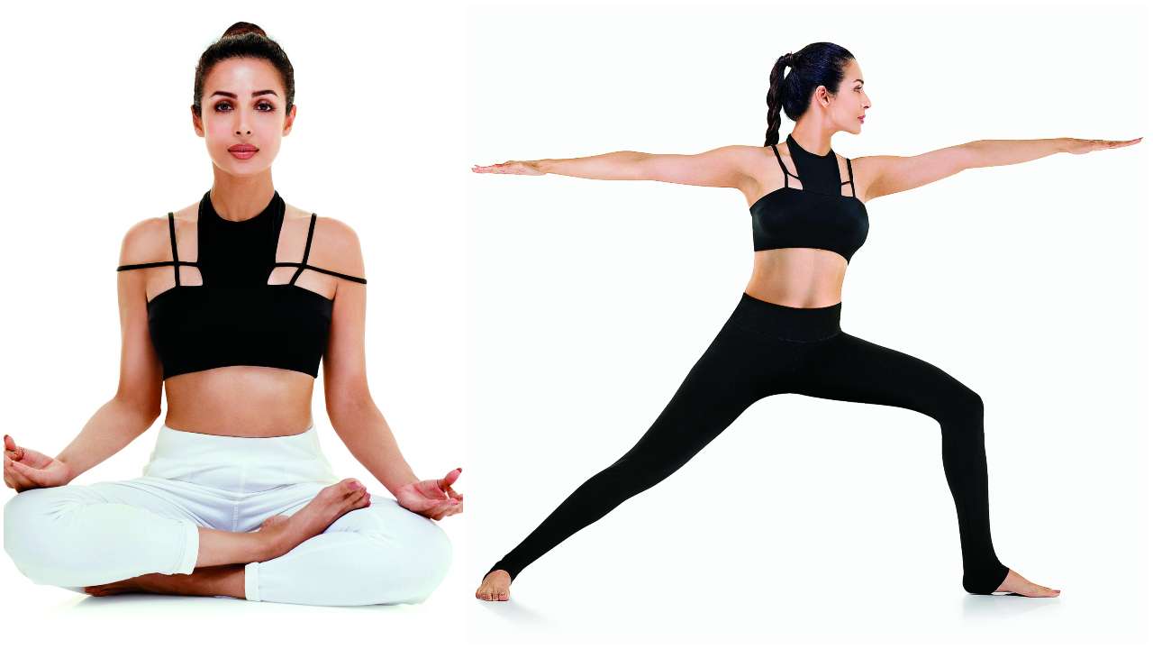 बॉलिवूडच्या फिट अभिनेत्रींमध्ये मलायका अरोराचंही नाव आवर्जुन घेतलं जातं. ४५ व्या वर्षात मलायकाने स्वतःला एवढं फिट ठेवलं आहे की, तिच्या समोर तरूण अभिनेत्रीही फिक्या वाटतात. आपल्या फिटनेससाठी मलायका नियमीत योग साधना करते. बॉलिवूडच्या फिट अभिनेत्रींमध्ये मलायका अरोराचंही नाव आवर्जुन घेतलं जातं. ४५ व्या वर्षात मलायकाने स्वतःला एवढं फिट ठेवलं आहे की, तिच्या समोर तरूण अभिनेत्रीही फिक्या वाटतात. आपल्या फिटनेससाठी मलायका नियमीत योग साधना करते.