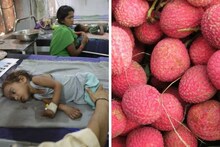 125 मुलांचा जीव खरंच लिची खाल्ल्याने गेला का? हे फळ खाताना घ्या 'ही' काळजी