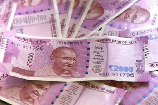 'या' व्यवसायासाठी मोदी सरकार करेल मदत, घरबसल्या होईल लाखोंची कमाई