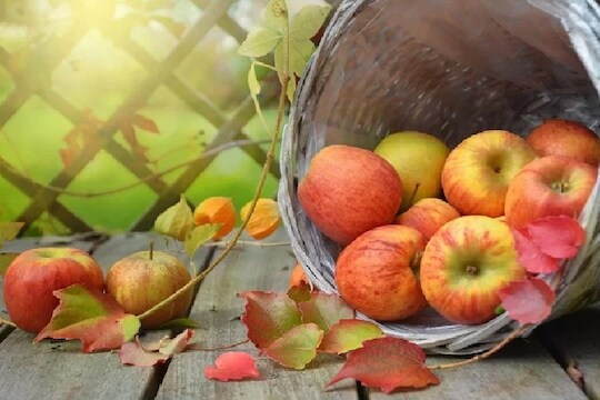 दररोज सकाळी उठल्यावर खा 'हे' फळ; कधीच जावं लागणार नाही तुम्हाला डॉक्टरकडे