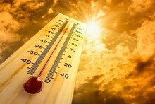 फ्रान्समध्ये उष्णतेची लाट, पॅरिसमध्ये पारा 40 अंशांवर