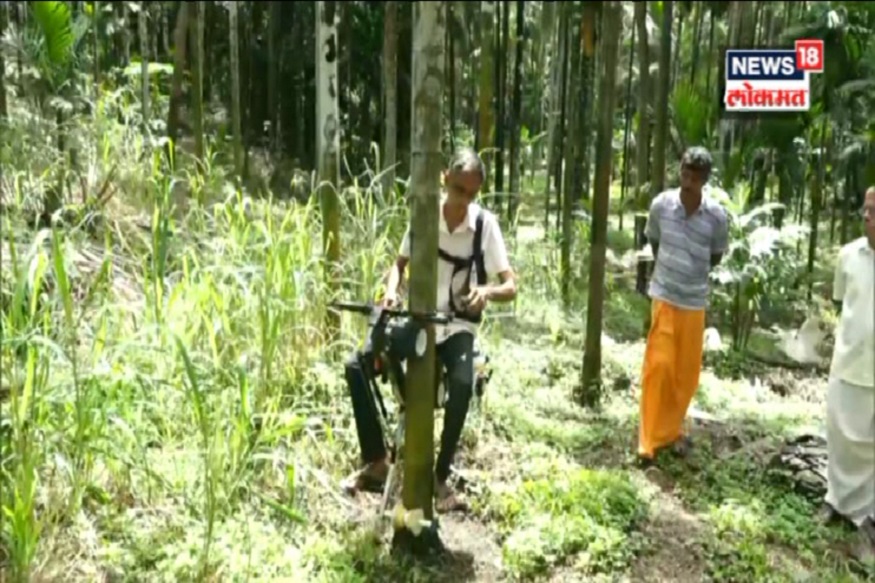 VIDEO: नारळाच्या झाडावर चढण्यासाठी शोधून काढली ही भन्नाट स्कूटर