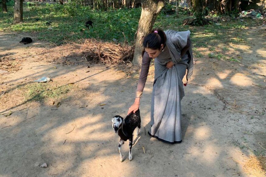 नुसरतने आपल्या राजेशाही लग्नासाठी टर्की हे डेस्टिनेशन निवडलं. १९ जून ते २१ जूनपर्यंत हे डेस्टिनेशन वेडिंग टर्कीत झालं. नुसरतने आपल्या राजेशाही लग्नासाठी टर्की हे डेस्टिनेशन निवडलं. १९ जून ते २१ जूनपर्यंत हे डेस्टिनेशन वेडिंग टर्कीत झालं.