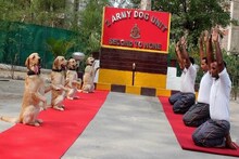 Yoga Day राहुल गांधींनी केला सैनिकांचा अपमान, अमित शहांचा आरोप