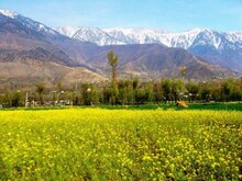खूप सुंदर आहे पुलवामा, तिथल्या या जागा एकदा तरी पाहाच