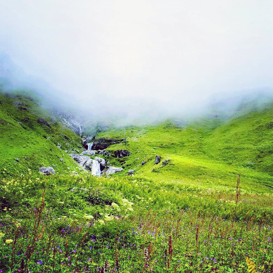 व्हॅली ऑफ फ्लॉवर्स, उत्तराखंड : पश्चिम आणि पूर्व हिमालयाच्या पर्वतरांगांच्या कुशीत असलेलं ही जागा पावसाळ्यात फिरण्यासाठी सुंदर ठिकाण आहे. 400 पेक्षा अधिक फुलांच्या प्रजातींचं सौंदर्य पाहण्याचा अनुभव तुम्ही इथे घेऊ शकता. (फोटो – रश्मी) व्हॅली ऑफ फ्लॉवर्स, उत्तराखंड : पश्चिम आणि पूर्व हिमालयाच्या पर्वतरांगांच्या कुशीत असलेलं ही जागा पावसाळ्यात फिरण्यासाठी सुंदर ठिकाण आहे. 400 पेक्षा अधिक फुलांच्या प्रजातींचं सौंदर्य पाहण्याचा अनुभव तुम्ही इथे घेऊ शकता. (फोटो – रश्मी)