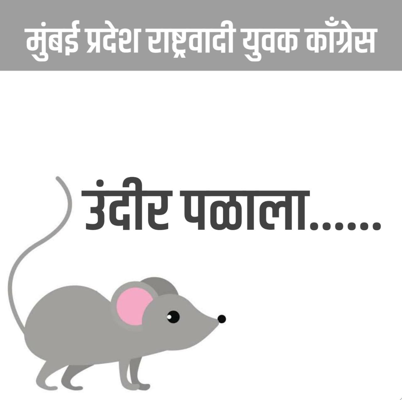 तर दुसऱ्या एका फोटोत सचिन अहिर यांना उंदराची उपमा देण्यात आलीय. उंदीर पळाला असं त्या फोटोत दाखविण्यात आलंय. जिकडे फायदा दिसला तिकडे अहिर गेलेत. तत्व, पक्ष निष्ठा अशा सर्व गोष्टी त्यांच्यासाठी गौण असल्याचं त्यातून सांगण्यात आलंय. तर दुसऱ्या एका फोटोत सचिन अहिर यांना उंदराची उपमा देण्यात आलीय. उंदीर पळाला असं त्या फोटोत दाखविण्यात आलंय. जिकडे फायदा दिसला तिकडे अहिर गेलेत. तत्व, पक्ष निष्ठा अशा सर्व गोष्टी त्यांच्यासाठी गौण असल्याचं त्यातून सांगण्यात आलंय.