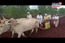VIDEO: ...जेव्हा खासदार नवनीत राणा थेट शेतात जाऊन हाती नांगर घेतात VIDEO: ...जेव्हा खासदार नवनीत राणा थेट शेतात जाऊन हाती नांगर घेतात