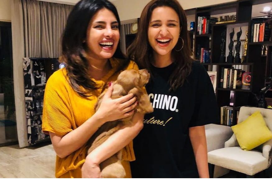 प्रियांका आणि निक जोनसचे अनेक फोटो आणि व्हिडिओ सोशल मीडियावर व्हायरल होत असतात. प्रियांकाचा जन्म उत्तर प्रदेशमधील रायबरेली येथे झाला. 2000 मध्ये तिने मिस वर्ल्ड स्पर्धा जिंकली. यानंतर प्रियांकाने बॉलिवूडमध्ये पदार्पण केलं. आज बॉलिवूडमधील नावाजलेल्या अभिनेत्रींमध्ये तिचं नाव आवर्जुन घेतलं जातं. प्रियांका आणि निक जोनसचे अनेक फोटो आणि व्हिडिओ सोशल मीडियावर व्हायरल होत असतात. प्रियांकाचा जन्म उत्तर प्रदेशमधील रायबरेली येथे झाला. 2000 मध्ये तिने मिस वर्ल्ड स्पर्धा जिंकली. यानंतर प्रियांकाने बॉलिवूडमध्ये पदार्पण केलं. आज बॉलिवूडमधील नावाजलेल्या अभिनेत्रींमध्ये तिचं नाव आवर्जुन घेतलं जातं.