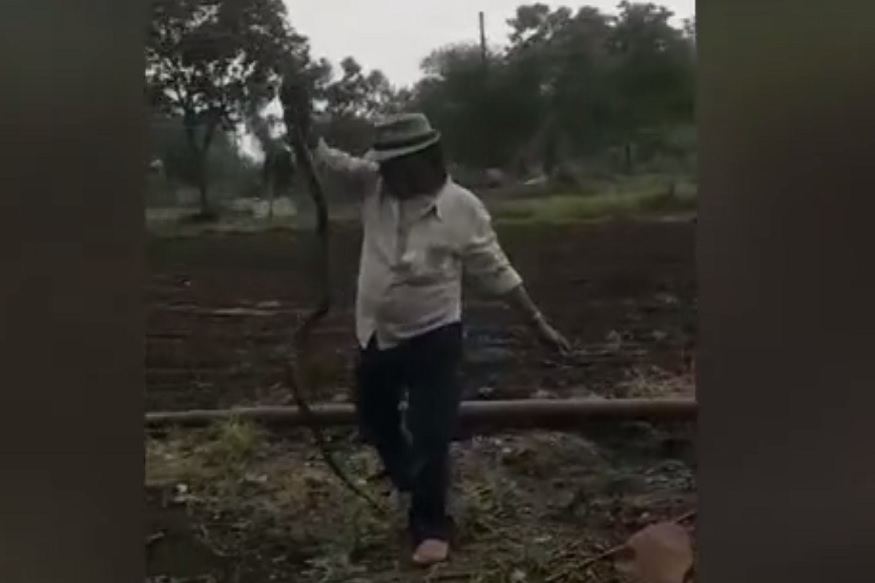 सापाला पाहून जेव्हा पोलिसाची उडाली घाबरगुंडी, पाहा VIDEO