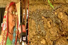 VIDEO : रहस्यमयी अळ्या घरात घुसत होत्या, असा केला आजींनी सामना! VIDEO : रहस्यमयी अळ्या घरात घुसत होत्या, असा केला आजींनी सामना!