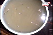 VIDEO: धक्कादायक! नळाच्या पाण्यातून आली पक्षाची पिसं VIDEO: धक्कादायक! नळाच्या पाण्यातून आली पक्षाची पिसं