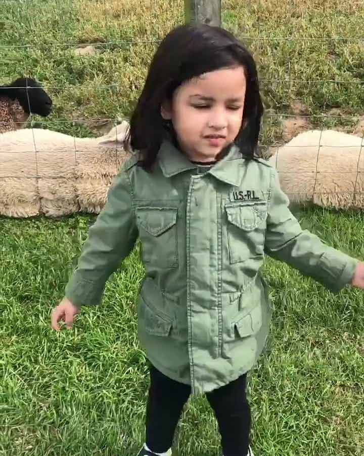 शुक्रवारी तिची आई साक्षी धोनीने झिवाचे काही फोटो सोशल मीडियावर शेअर केले. तिचे हे फोटो पाहून क्युट म्हणजे नक्की काय याची पुन्हा एकदा कल्पना येते. शुक्रवारी तिची आई साक्षी धोनीने झिवाचे काही फोटो सोशल मीडियावर शेअर केले. तिचे हे फोटो पाहून क्युट म्हणजे नक्की काय याची पुन्हा एकदा कल्पना येते.