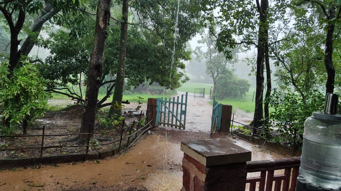 मुंबई आणि परिसरात पहाटेपासूनच पावसानं जोर धरला आहे. हवामान खात्याने आज दिवसभर मुसळधार पावसाचा अंदाज वर्तवल्यामुळे रेड अलर्ट जारी केलं आहे. गेले दोन दिवस सतत कोसळणाऱ्या पावसामुळे जनजीवन विस्कळीत झालं आहे. मुंबई आणि परिसरात पहाटेपासूनच पावसानं जोर धरला आहे. हवामान खात्याने आज दिवसभर मुसळधार पावसाचा अंदाज वर्तवल्यामुळे रेड अलर्ट जारी केलं आहे. गेले दोन दिवस सतत कोसळणाऱ्या पावसामुळे जनजीवन विस्कळीत झालं आहे.