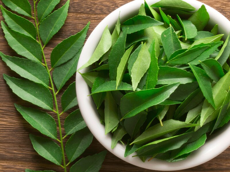 . स्वीट नीम म्हणजेच आपला कढीपत्ता. Curry leaves नावानेही ही पानं इंग्रजीत ओळखली जातात. कढीनिंब किंवा कढीपत्ता बहुतेक सर्व भारतीय घरांमध्ये आमटी, भाजी, वरण, डाळ यामध्ये आवर्जून वापरला जातो. यामध्ये अनेक औषधी गुण असतात, हे संशोधनातून सिद्ध झालं आहे. . स्वीट नीम म्हणजेच आपला कढीपत्ता. Curry leaves नावानेही ही पानं इंग्रजीत ओळखली जातात. कढीनिंब किंवा कढीपत्ता बहुतेक सर्व भारतीय घरांमध्ये आमटी, भाजी, वरण, डाळ यामध्ये आवर्जून वापरला जातो. यामध्ये अनेक औषधी गुण असतात, हे संशोधनातून सिद्ध झालं आहे.