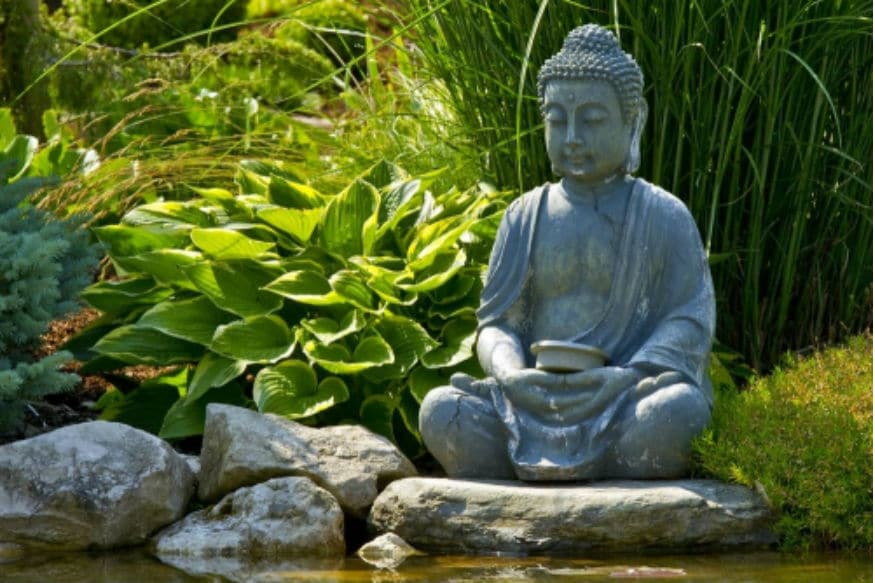 Feng Shui Tips For Happiness and Money: लोक आपल्या घरी धनधान्य आणि आनंदासाठी फेंगशुईशी निगडीत अनेक गोष्टी ठेवण्याला प्राधान्य देताना दिसतात. फेंगशुईच्या टिप्स वापरून तुम्ही वास्तु दोष काही प्रमाणात दूर करू शकता. Feng Shui Tips For Happiness and Money: लोक आपल्या घरी धनधान्य आणि आनंदासाठी फेंगशुईशी निगडीत अनेक गोष्टी ठेवण्याला प्राधान्य देताना दिसतात. फेंगशुईच्या टिप्स वापरून तुम्ही वास्तु दोष काही प्रमाणात दूर करू शकता.