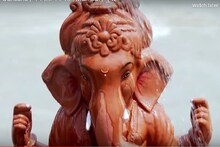 OMG VIDEO : श्री गणेश नव्हे तर हा आहे ट्री गणेश !
