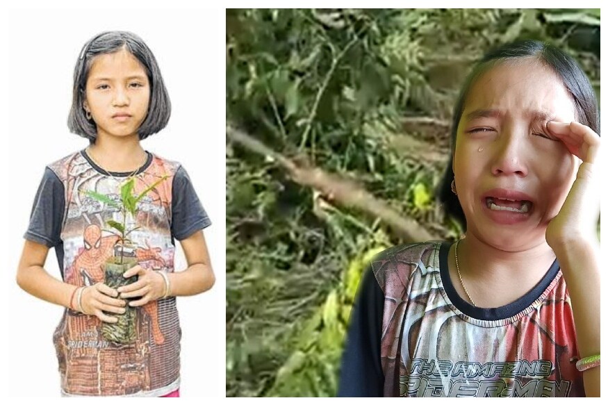 मणिपूरच्या काकचिंग जिल्ह्यात राहणारी व्हॅलेनटिना एलांगबने तिच्या घराजवळ वाहणाऱ्या नदीकाठी 2 झाडं लावली होती. पण या नदीतून कालवा काढण्यासाठी प्रशासकीय यंत्रणेने ही दोन्ही तोडली. हे पाहून ती ओक्साबोक्शी रडली. मणिपूरच्या काकचिंग जिल्ह्यात राहणारी व्हॅलेनटिना एलांगबने तिच्या घराजवळ वाहणाऱ्या नदीकाठी 2 झाडं लावली होती. पण या नदीतून कालवा काढण्यासाठी प्रशासकीय यंत्रणेने ही दोन्ही तोडली. हे पाहून ती ओक्साबोक्शी रडली.