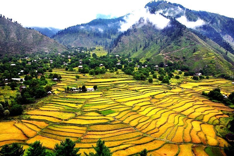 लीपा व्हॅली हा पाकव्याप्त काश्मीरमधला आणखी एक सुंदर भाग आहे. कुपवाडा जिल्ह्यात या भाग पूर्वी यायचा. आता पाकिस्तानने कब्जा केल्यानंतर आझाद कश्मीरचा भाग समजला जातो. लीपा व्हॅली हा पाकव्याप्त काश्मीरमधला आणखी एक सुंदर भाग आहे. कुपवाडा जिल्ह्यात या भाग पूर्वी यायचा. आता पाकिस्तानने कब्जा केल्यानंतर आझाद कश्मीरचा भाग समजला जातो.