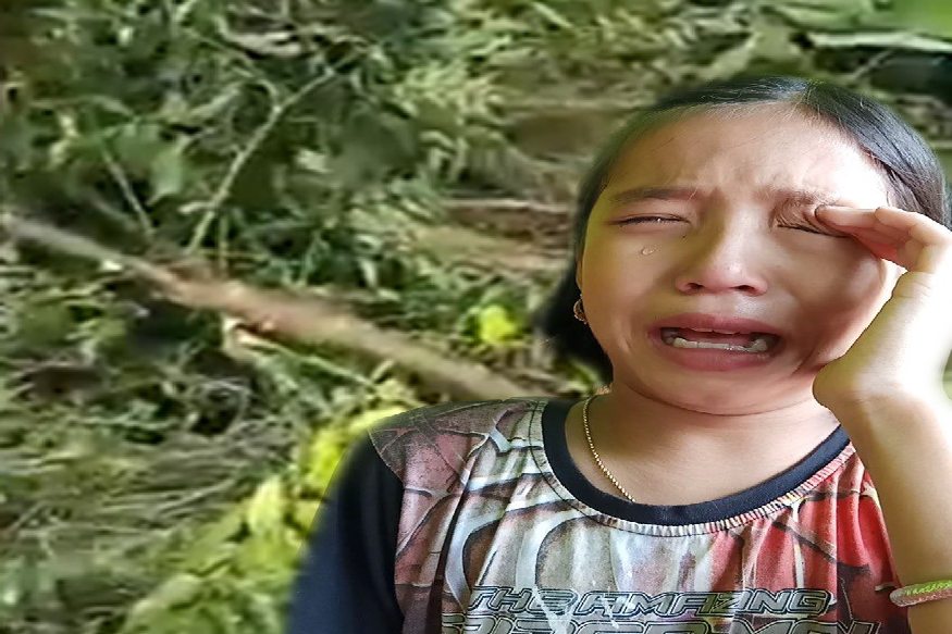 ही झाडं माझ्यापेक्षाही उंच झाली होती, अशी तक्रार व्हॅलेनटिना करते. आता ही झाडं तोडल्यानंतर हानी भरून काढण्यासाठी ती 20 नवी झाडं लावणार आहे. ही झाडं माझ्यापेक्षाही उंच झाली होती, अशी तक्रार व्हॅलेनटिना करते. आता ही झाडं तोडल्यानंतर हानी भरून काढण्यासाठी ती 20 नवी झाडं लावणार आहे.