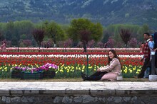 पुण्यातल्या 10 शिक्षण संस्थांना उघडायचं काश्मीरात कॉलेज!