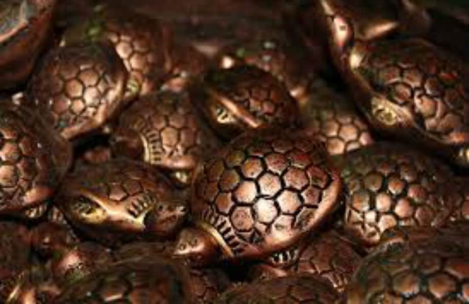 फेंगशुईमध्ये धातुच्या कासवाला फार महत्त्व आहे. कासव ठेवल्याने रोगांपासून आणि शत्रूंपासून बचाव होतो. उत्तर दिशेला एका भांड्यात पाणी घेऊन त्यात कासव ठेवावा. फेंगशुईमध्ये धातुच्या कासवाला फार महत्त्व आहे. कासव ठेवल्याने रोगांपासून आणि शत्रूंपासून बचाव होतो. उत्तर दिशेला एका भांड्यात पाणी घेऊन त्यात कासव ठेवावा.