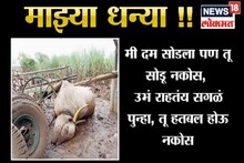 VIDEO: 'माझ्या धन्या, मी दम सोडला पण...' मनाला चटका लावणारी कविता!