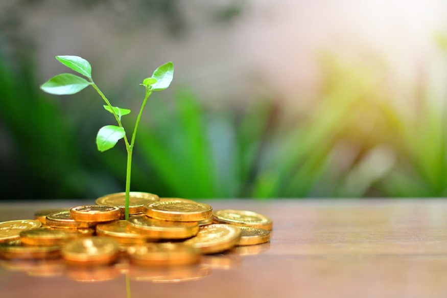 नोकरदारांसाठी 'हे' आहेत गुंतवणुकीचे 4 उत्तम पर्याय