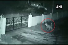 बंगल्यात घुसून बिबट्यानं केली कुत्र्याची शिकार; पाहा VIDEO