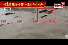 VIDEO: नागपुरात नदी ओलांडताना 10 जनावरं गेली वाहून VIDEO: नागपुरात नदी ओलांडताना 10 जनावरं गेली वाहून