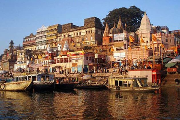 महिन्यात अमावस्या तिथीला पिंपळाच्या झाडाची पूजा करा. या उपायाने पत्रिकेतील शनी, राहू- केतूचे दोष दूर होतील. हे दोष दूर होताच नोकरी आणि व्यवसायात यश मिळायला सुरुवात होईल. महिन्यात अमावस्या तिथीला पिंपळाच्या झाडाची पूजा करा. या उपायाने पत्रिकेतील शनी, राहू- केतूचे दोष दूर होतील. हे दोष दूर होताच नोकरी आणि व्यवसायात यश मिळायला सुरुवात होईल.