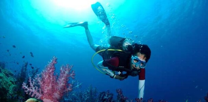 थंडीच्या दिवसांमध्ये कोणालाही सकाळी उठून ऑफिसला जाण्याची इच्छा नसते.. बिछाना सोडून कडाक्याच्या थंडीत उठताना अनेकवेळा विचार केला जातो.