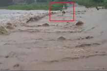 तरुण गेला वाहून; मदत करण्याऐवजी बघ्यांनी शूट केला VIDEO तरुण गेला वाहून; मदत करण्याऐवजी बघ्यांनी शूट केला VIDEO