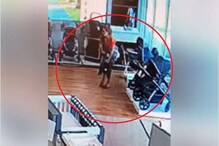 पाळणा चोरण्याच्या नादात बाळाला मॉलमध्येच विसरून आली महिला, CCTV व्हायरल