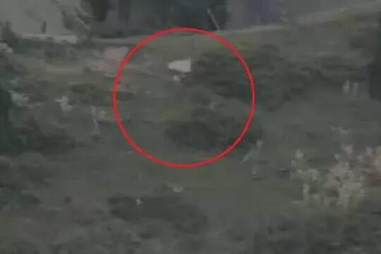 भारतानं मारले पाकचे सैनिक, मृतदेह नेण्यासाठी केली धावाधाव; पाहा VIDEO