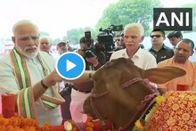 VIDEO : मोदी म्हणतात, 'गाय आणि 'ॐ' असं ऐकल्यावर काही लोकांचे कान टवकारतात'
