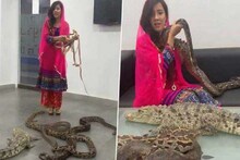 पाहा VIDEO : या गायिकेने मोदींना दिली Snake Attack ची धमकी