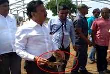 नरेंद्र मोदींच्या सभेची तयारी सुरू असताना निघाली घोरपड, या नेत्याने दिले जिवदान