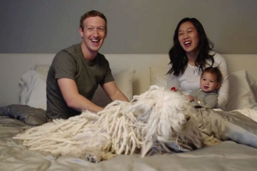 मार्क झुकरबर्ग (Mark Zuckerberg) हे एक नावाजलेलं नाव आहे. Mark Zuckerberg हा फेसबुकचा (facebook) संस्थापक असल्यामुळे नेहमीच चर्चेत असतो. पण तुम्ही कधी त्याच्या कुत्र्याला पाहिलं आहे का... मार्क झुकरबर्ग (Mark Zuckerberg) हे एक नावाजलेलं नाव आहे. Mark Zuckerberg हा फेसबुकचा (facebook) संस्थापक असल्यामुळे नेहमीच चर्चेत असतो. पण तुम्ही कधी त्याच्या कुत्र्याला पाहिलं आहे का...
